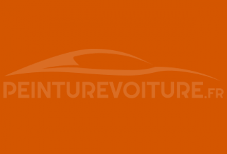 Code peinture FSO 294 Orientorange