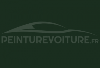 Code peinture Renault 2944 Vert