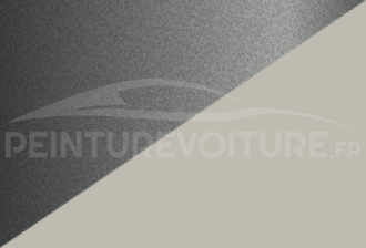 Code peinture Toyota 29U 196 + 053