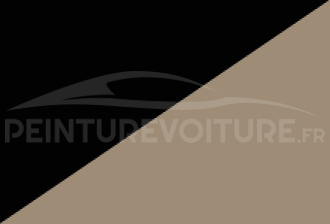 Code peinture Toyota 2C6 4a8 + 202