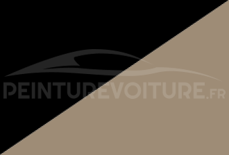 Code peinture Toyota 2D1 4a8 + 202