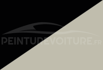 Code peinture Toyota 2D2 033 + 202