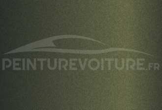 Code peinture Opel 2GN Olivine Starfire