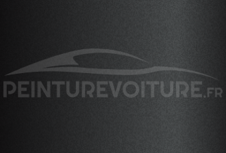 Code peinture Ford 2MXEWHA Dark Matter Gray (starlight Grey)