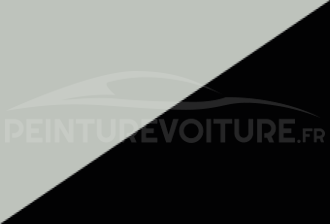 Code peinture Toyota 2N2 038 + 202