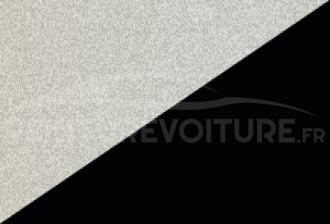 Code peinture Toyota 2NL 202 + 062