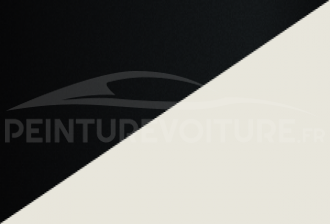 Code peinture Toyota 2NR 209 + 040