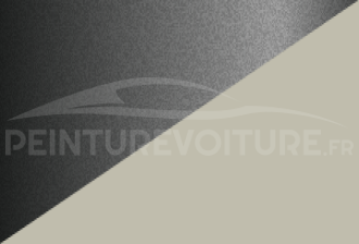 Code peinture Toyota 2P7 033 + 143