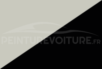Code peinture Toyota 2T7 041 + 202