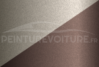 Code peinture Toyota 2T8 4d2 + 490