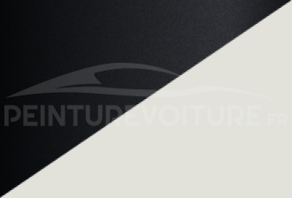 Code peinture Toyota 2UE 040 + 218