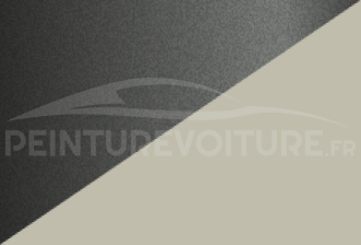 Code peinture Toyota 2V7 138 + 033