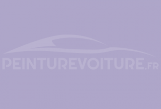 Code peinture Ral Design System 300 70 20 Viola