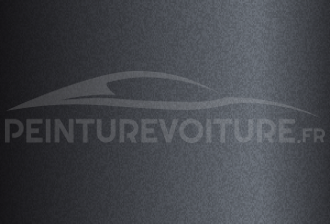 Code peinture General Motors (USA) 302 (4NU) Amethyst/grey