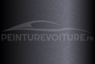 Code peinture Volvo 305 Svart-black
