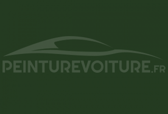 Code peinture Fiat 306/46 Verde