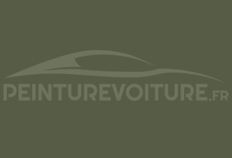 Code peinture Fiat 306/B Verde Militare-atletico