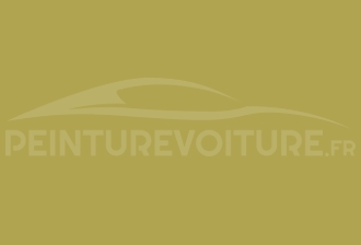 Code peinture Renault 306 Jaune Anis