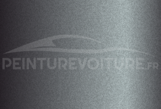 Code peinture Toyota 307-L117 Bluish Grey