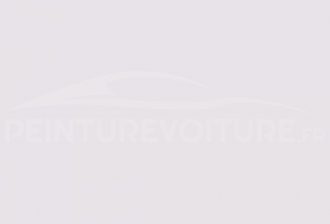 Code peinture Ral Design System 310 90 05 Rose White