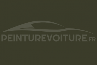 Code peinture Daihatsu 310 CH Aromatic Olive