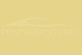 Code peinture Renault 310 Jaune Pamplemousse