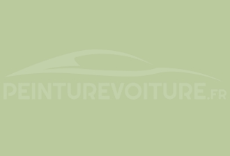 Code peinture Opel 311 46L Lindgruen-pale Green (1gb)