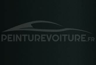 Code peinture Fiat 312/A Polo Green