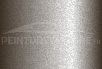 Code peinture Volvo 313 Bisquitguld-champagne Gold