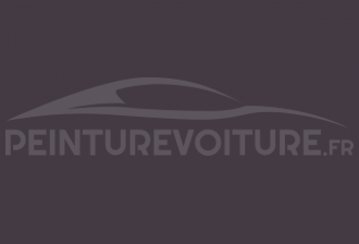 Code peinture Bmw 316 Violettrot
