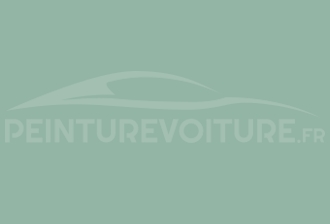 Code peinture Opel 318 Seegruen