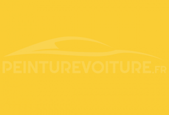Code peinture Renault 320 Jaune Assistence