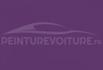 Code peinture Ral Design System 320 30 37 Violet