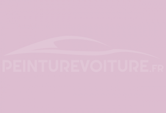 Code peinture Ral Design System 320 80 15 Violet Pink