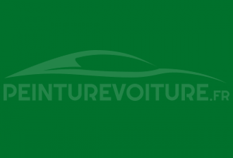 Code peinture Fiat 329 Verde Espada-medio