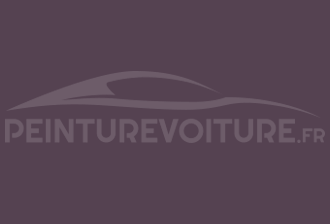 Code peinture Ral Design System 330 20 20 Profound Mauve