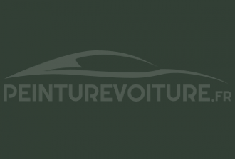 Code peinture Fiat 330/49 Verde