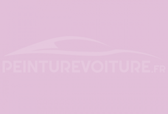 Code peinture Ral Design System 330 80 20 Rosa