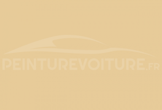 Code peinture Renault 3307 Jaune