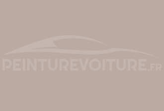 Code peinture Fiat 331/B Greyce - Grigio Arte
