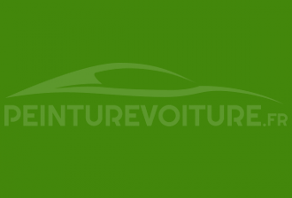 Code peinture Fiat 331/S Verde Galle