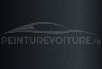Code peinture Volvo 332 Black