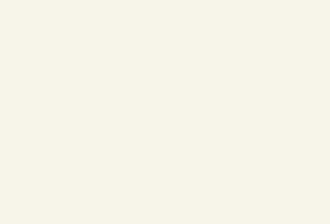 Code peinture Renault 3321 Blanc Neve