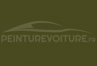 Code peinture Fiat 335 Verde