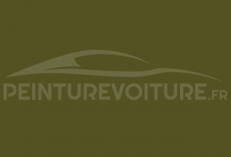 Code peinture Fiat 336 Verde Prato