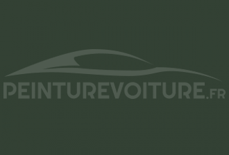 Code peinture Fiat 338/48 Verde Oliva