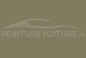 Code peinture Fiat 338/A Verde Salvia