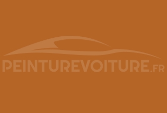 Code peinture Renault 339 Orange