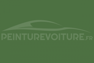 Code peinture Fiat 339B Verde