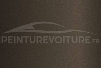Code peinture Ford 33H Ash Green